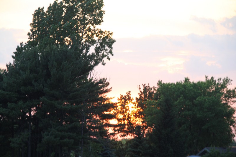 FD73C198-CE29-4828-A541-52E29921A049