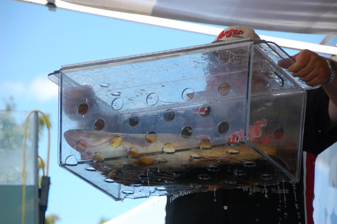 FE433535-46BC-467A-AACC-6964A7475261