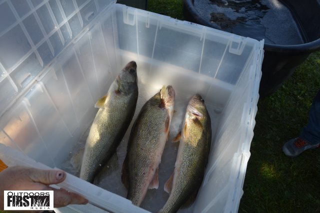 FF41094A-B7E0-4AB8-867F-2861761B6E85