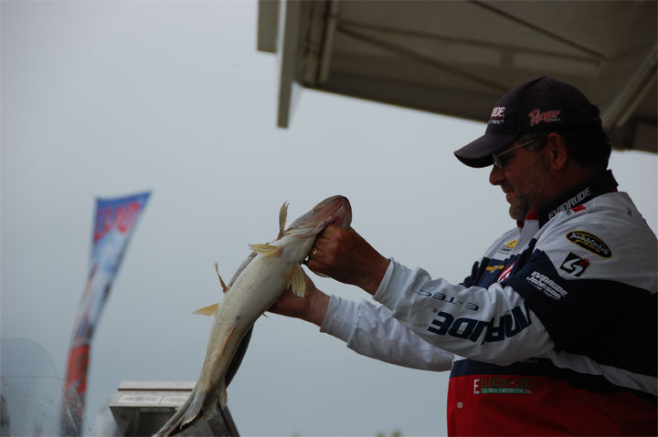 FF4F9113-3F11-453B-BD94-358A2425790C