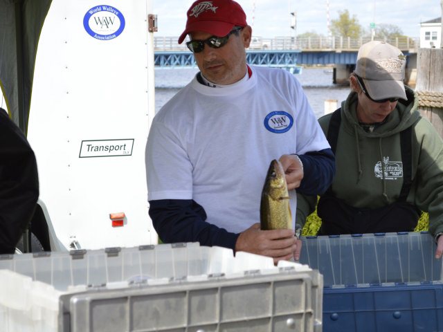 FFAB1E9F-8D2D-4185-818B-3D93EB8AE30E