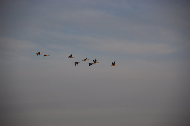 509673C7-CD46-4438-AAFD-078A86706289