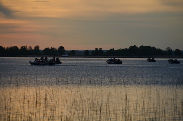 55025A3C-B411-4025-B91E-B3B4C459427A