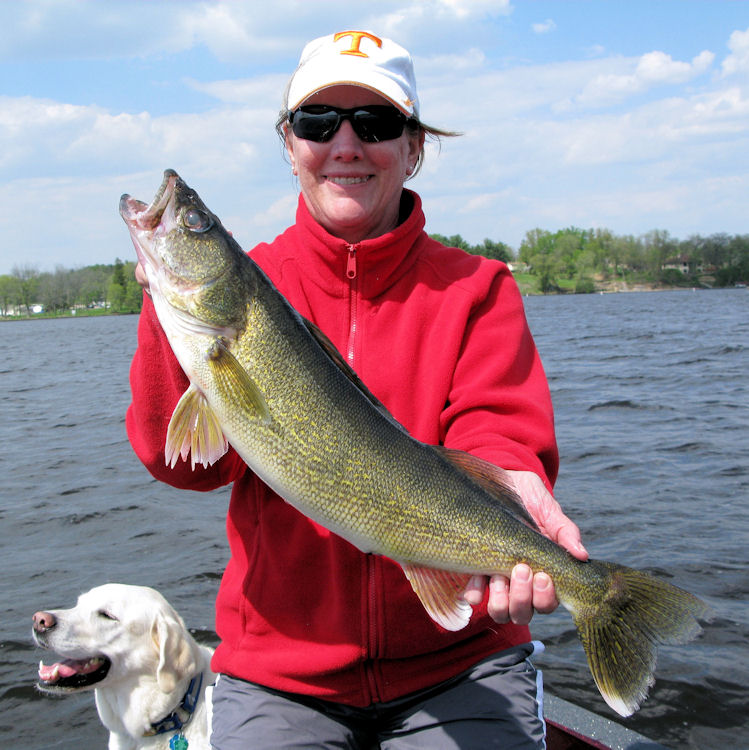 C7120D66-4DB5-4BC6-932B-3353D011520B