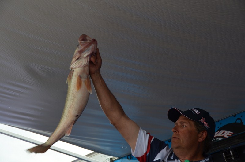 DC64F8BA-F803-4010-8F4C-B592781C8F33