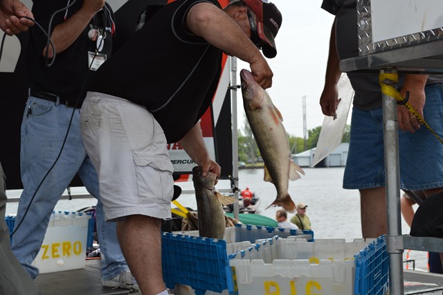 FE68450C-2225-43D1-8EFD-4E4C0EDB3929