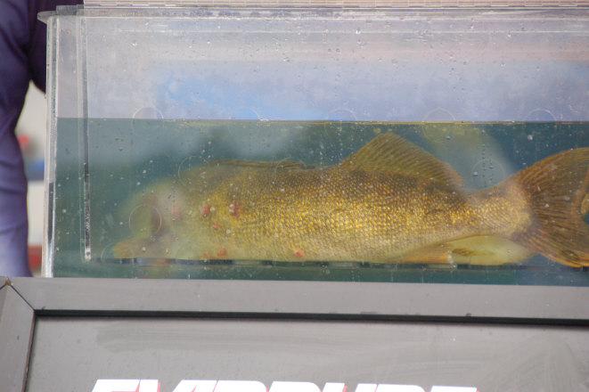 9530BD61-A091-4BFA-B34F-61AA2B48F333