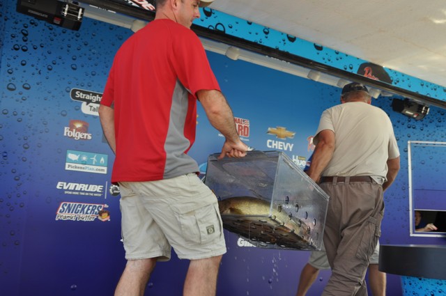 4B81D03A-0094-459B-9822-F9EC4E262E64