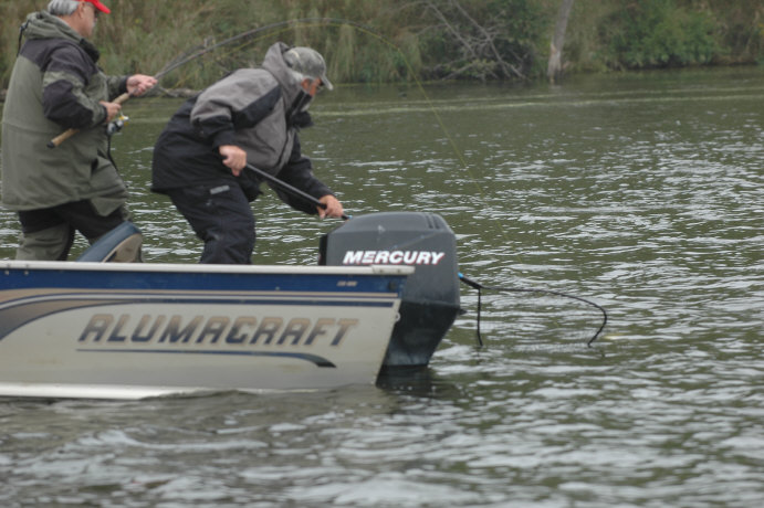 03BF99BC-E68D-460A-93CD-7A1062FDA059