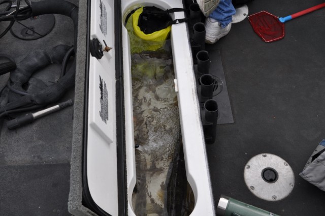 39FF094D-11B5-4021-A179-4F1AE176157A