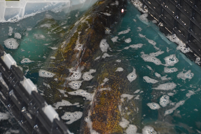 7B24842B-5CAC-4C10-9A20-F49D1A11BBC6