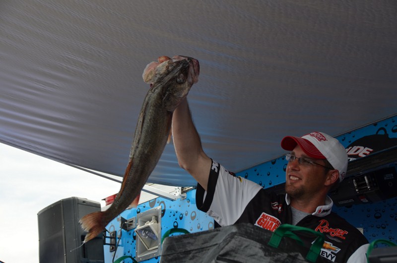 43BF5318-6BB8-4D74-B298-CA3290FB3C01