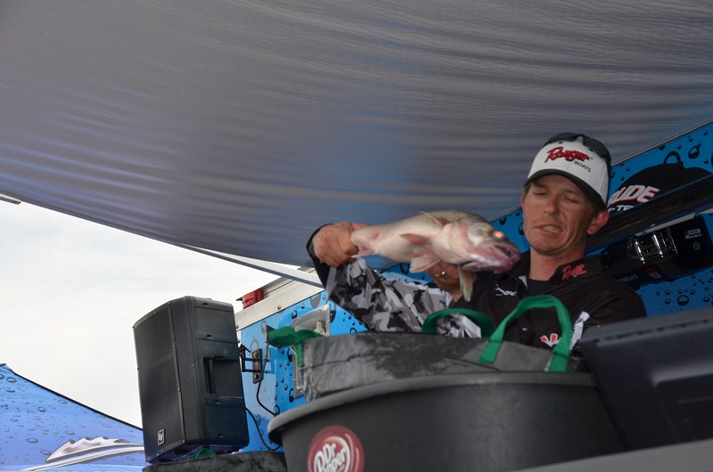 C54B5CF8-6CBB-41B0-A16C-D1C341E58892