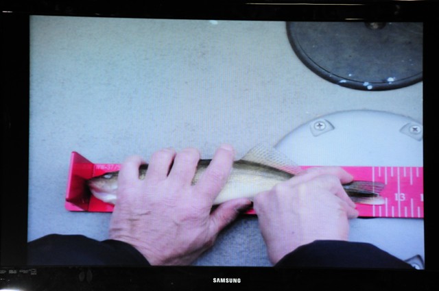 3DADC61E-21D8-49F3-AAB8-21E5E027796D