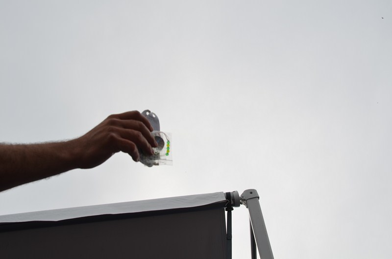 D21089EE-7B5E-43DA-8021-23580CC9526E