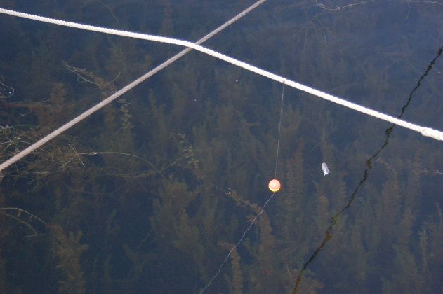 B32EEA94-6003-43F7-A956-E86BAD6BEFD9