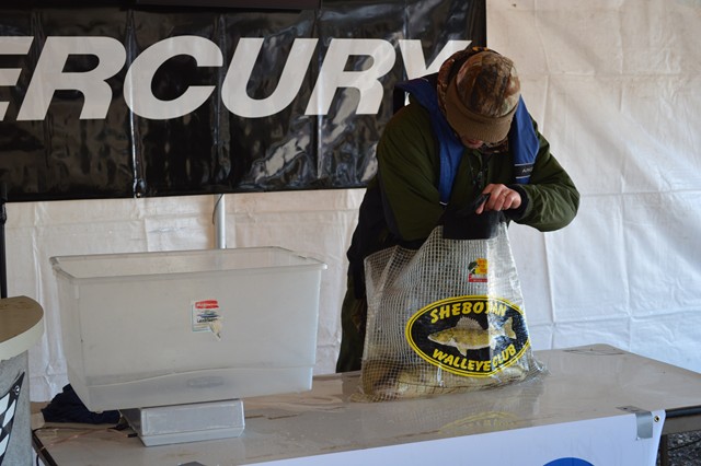 46D687C5-0213-4E06-A1A1-A5338DD52A8B