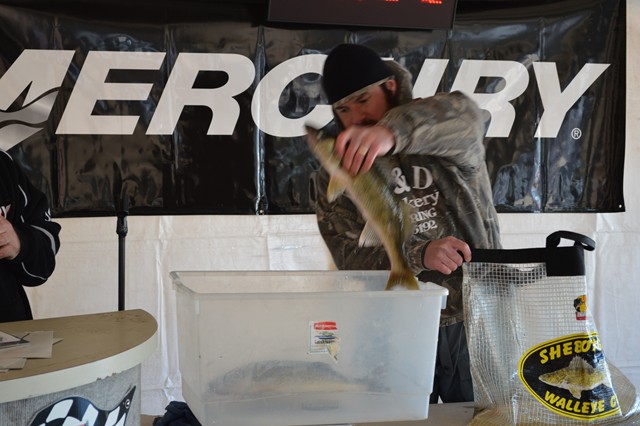 D2185E77-EB5E-431C-9904-90F7476CBE94