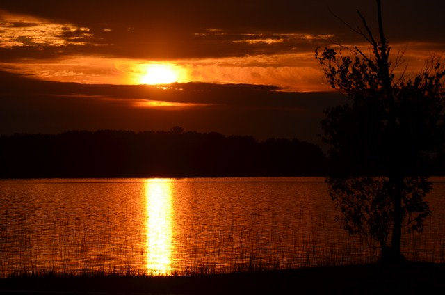 C452346B-78FD-4B27-9545-6D46F374F2A4