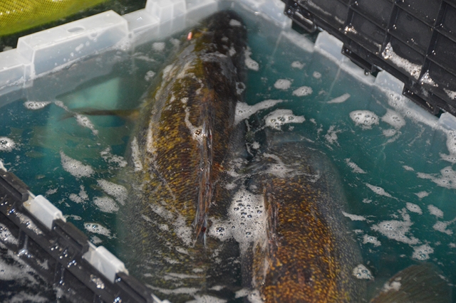 589A46DD-7ACB-424B-8960-30CF9E89DAD1