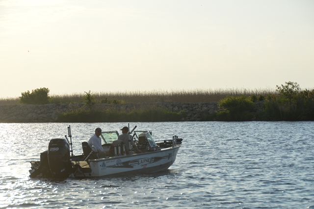 2D755F11-1E5C-4A11-8FFE-2AAB14CEB588