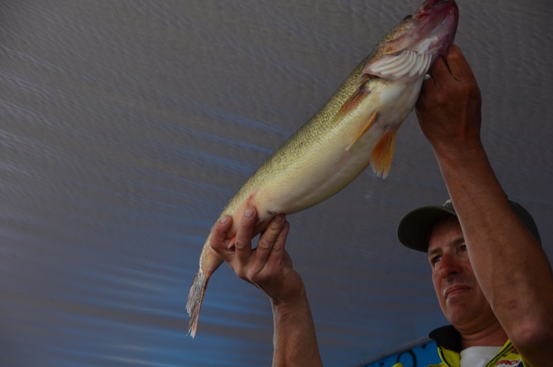 0923E7B8-6EFD-48FD-8D7F-51D8B217F558