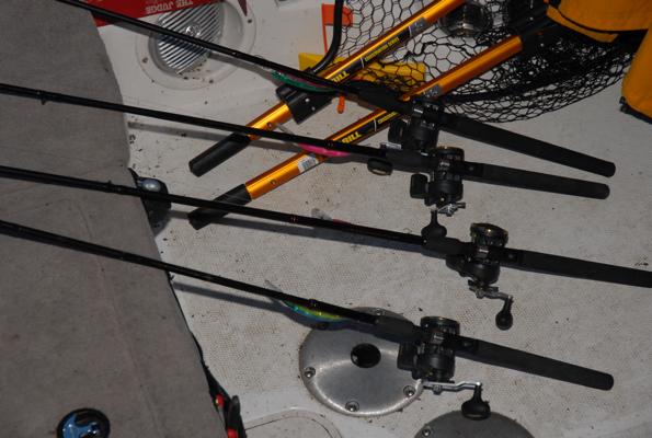 21C54FE5-3886-4638-B9E2-E2B48ADFF1CF