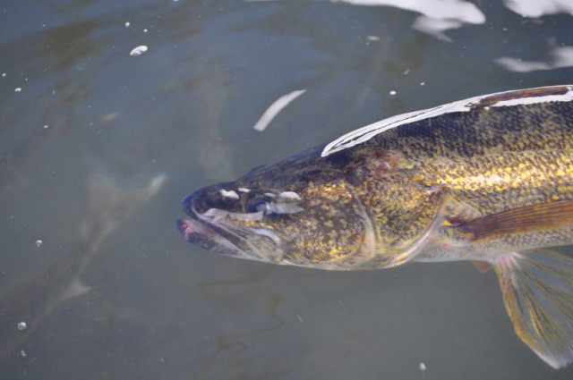 E2306826-36DB-4354-978C-760C13E77D5F