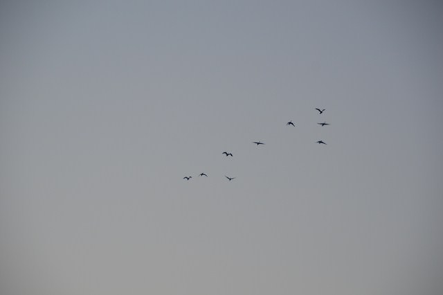 0FCB35E0-138C-4453-B7F0-4C33E472869E