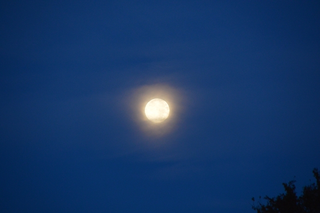 FE01347C-09E0-475A-9CF7-7529BF9CCEC2