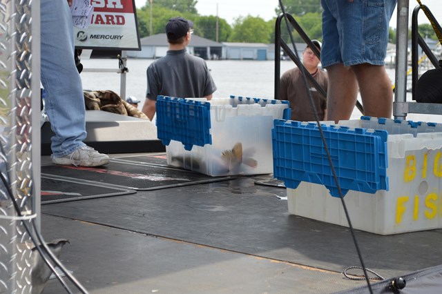 A8315A66-162A-4B41-B1CA-B9A643D39E79