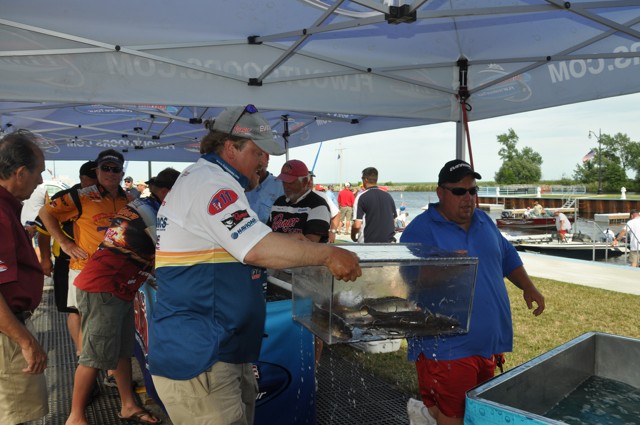 746740E3-BC03-413F-9FF7-0B8F1633B24C