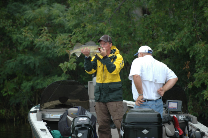 9660F6C8-C89C-4E1B-B0A1-B4C3DD9EA81F