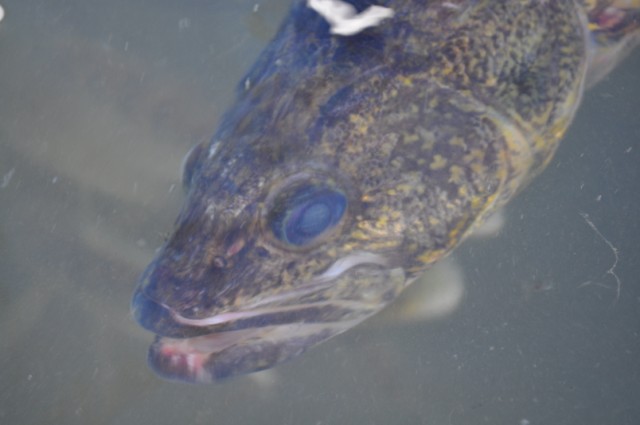 F05E68E5-2E41-426A-804C-C0589C091962