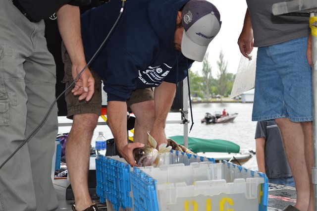 ADABB5C6-FE64-4824-93A5-F6F7F39AFEDA