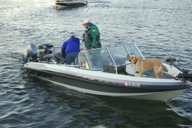 5113F52A-6317-448A-A43C-F19DC44BF9AF