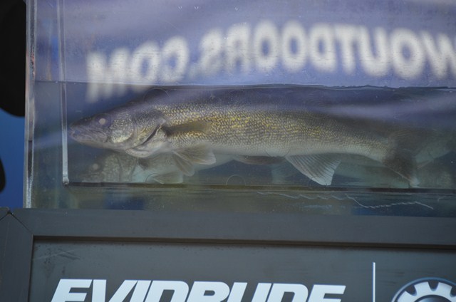 5158F24D-CFD1-43C2-B7E7-1A20E3E20E31