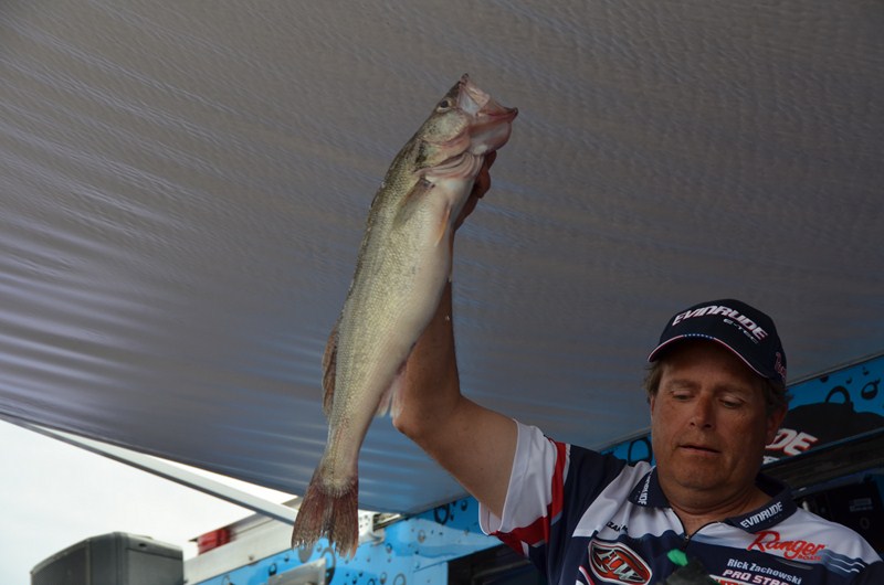 281443BD-256C-4397-A333-225943B93FC0