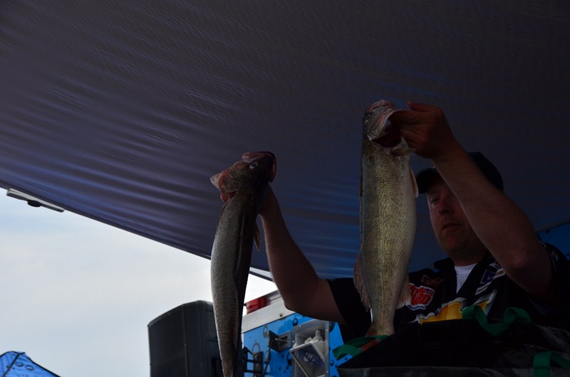 D91E3E8D-04D2-4475-BFDA-81ECD21A2C60