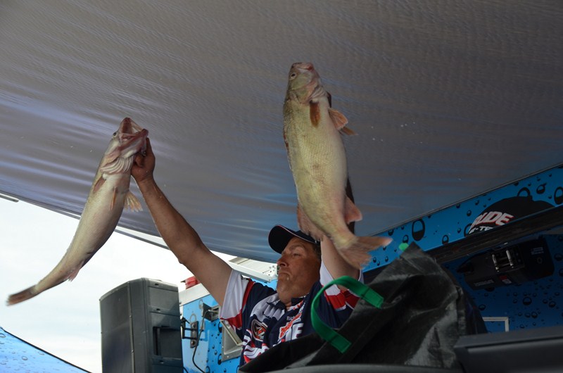 23EEA3E8-E7E1-452E-9C77-CEDC5245B64E