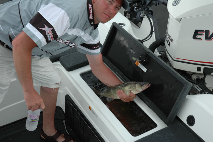 62490C20-DE39-4B1C-BA6B-04DF3FE086F0