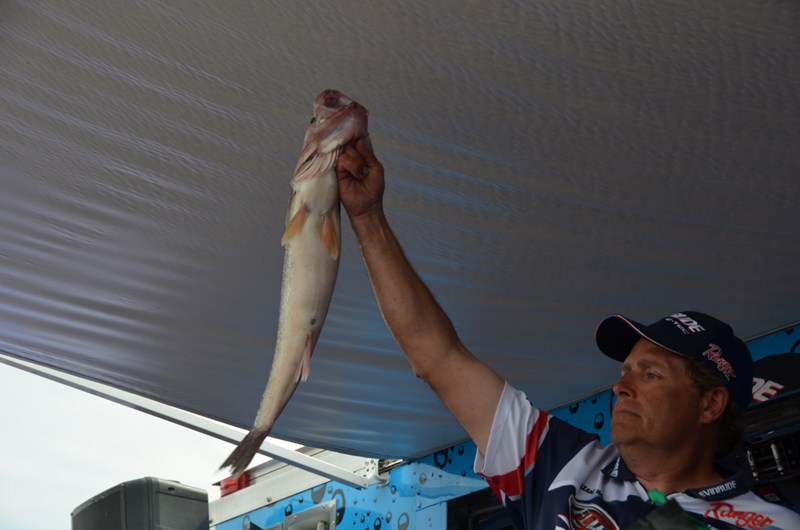 C4D669A8-DFFF-4E45-9C38-1D76DC0764FA