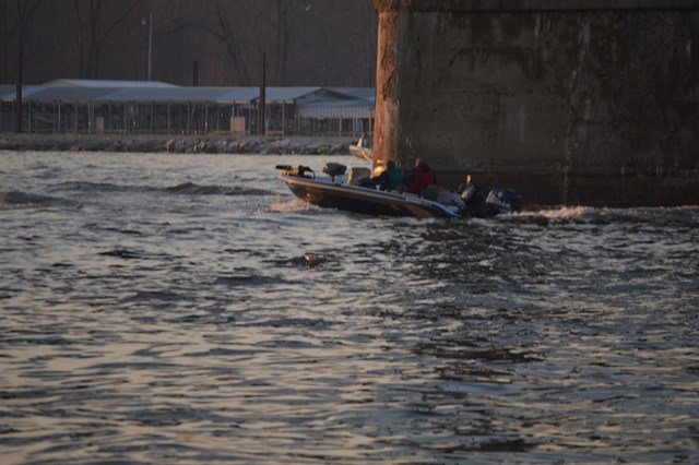 36FE0996-04E6-4A2F-8222-41B36CAE307D