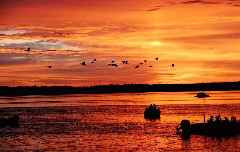 117771760_760852148075025_8618907667378260014_n