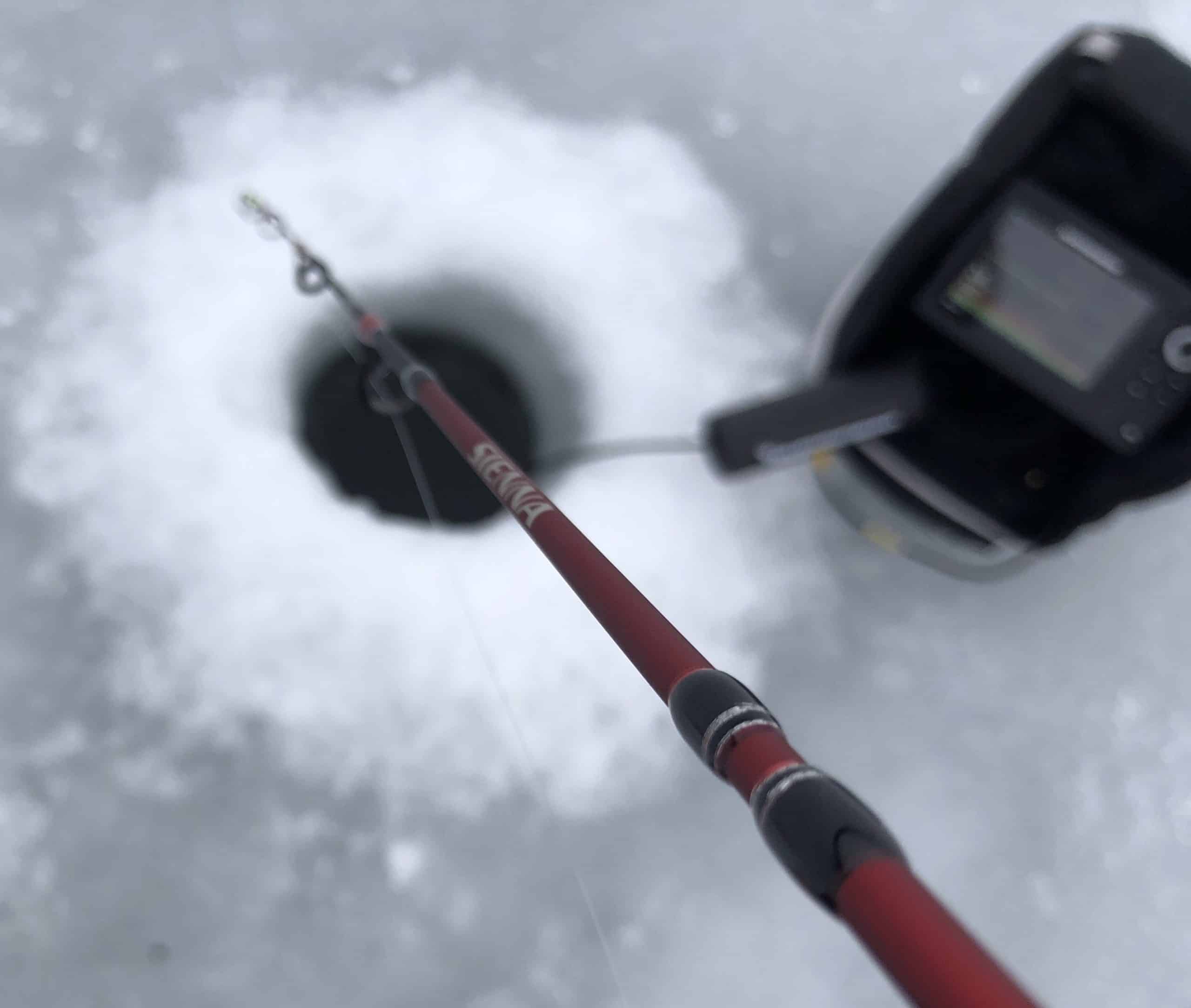 shimano sienna 1000 ice fishing Shimano Sienna Ice Combos Now Available