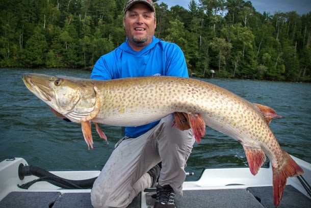 MUSKY INSIDER - Hamernick Tips – Biggest Musky Event Ever? – Key ...