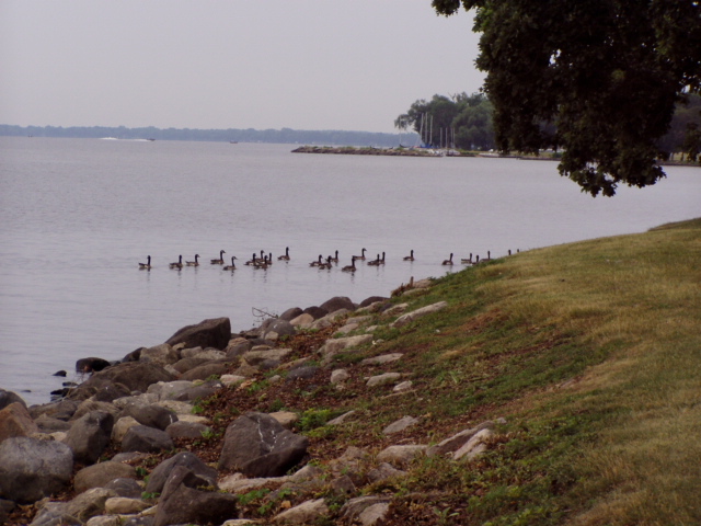 A631FBF0-8330-4008-940F-4FAC09FF7430