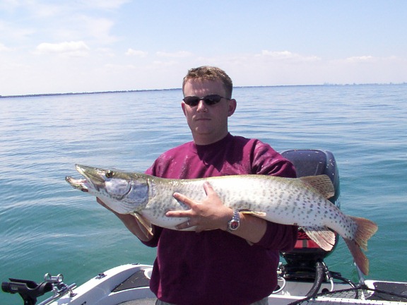 B91D9129-E855-477A-BB10-0A016413BC6F