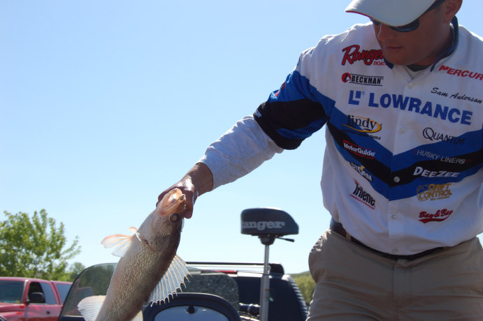 BDA261B1-09BB-4764-B07D-5C438AF702F2