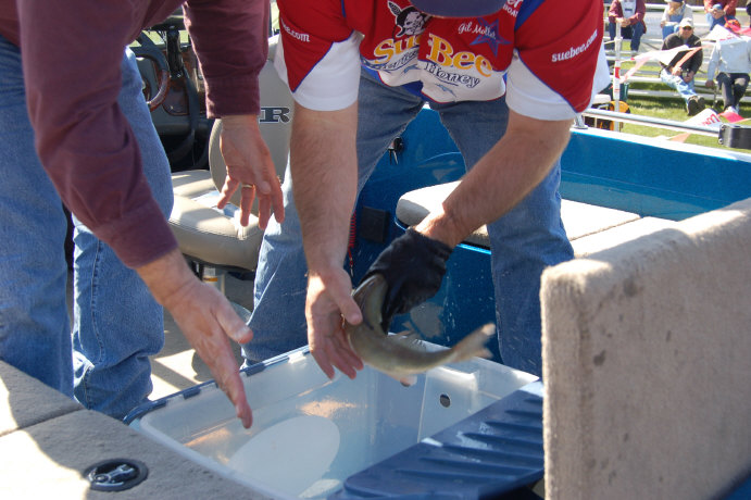 DC0722DB-7934-4D97-A7F6-C3E4883C64A5